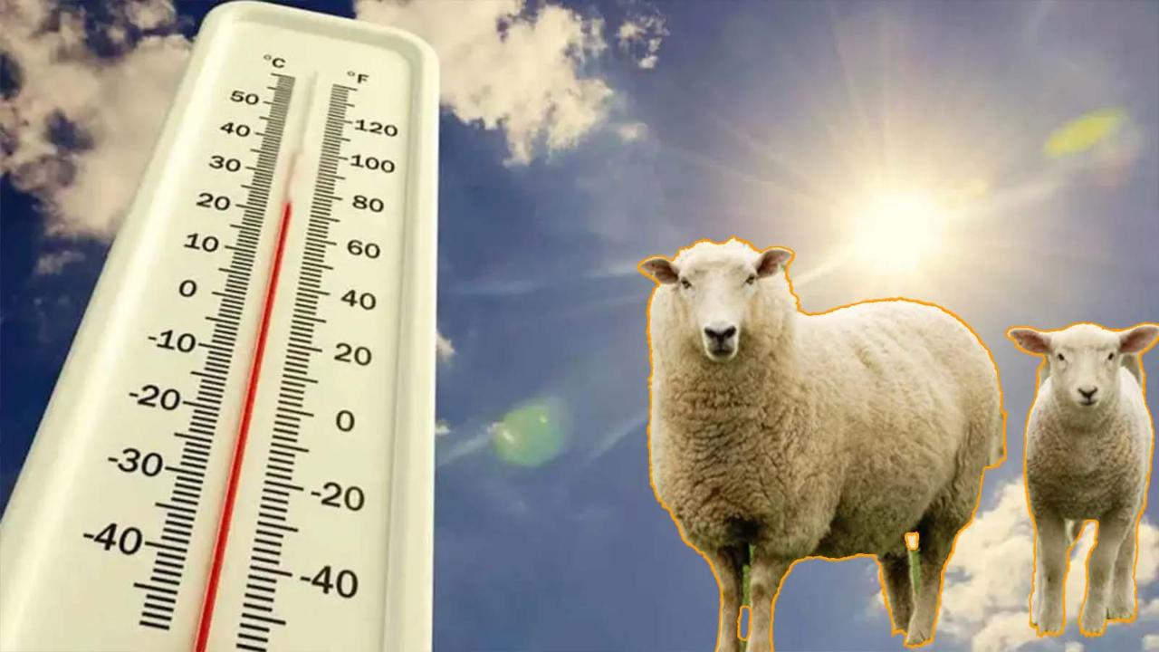 Meteoroloji’den Bayramda Şanlıurfa için sevindiren hava tahmini!