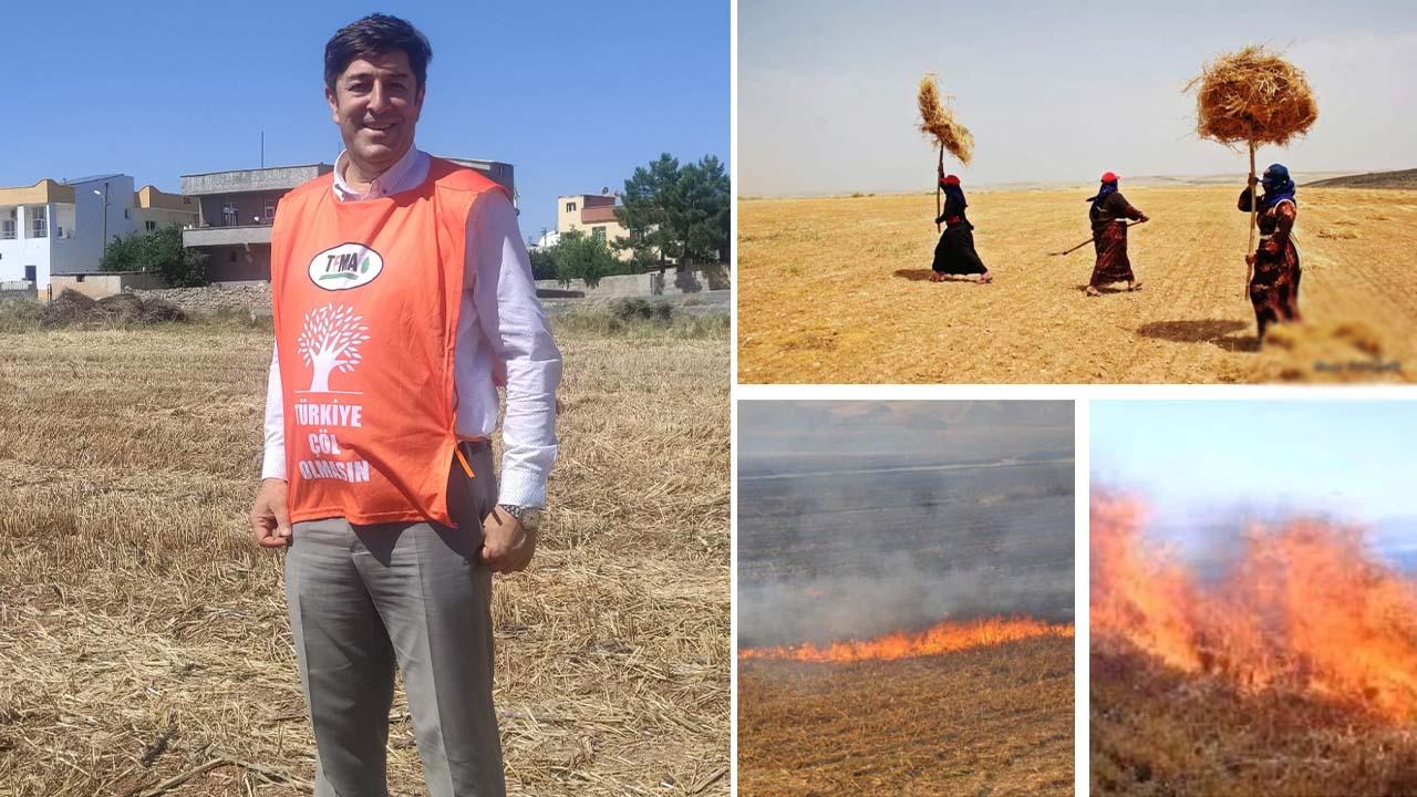 Öztürkmen’den anız uyarısı! Yüzde 30 düşürüyor