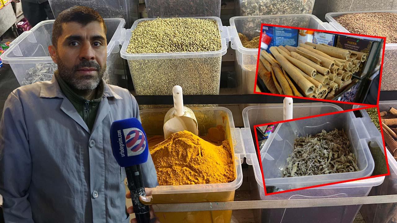Otomatik Taslak