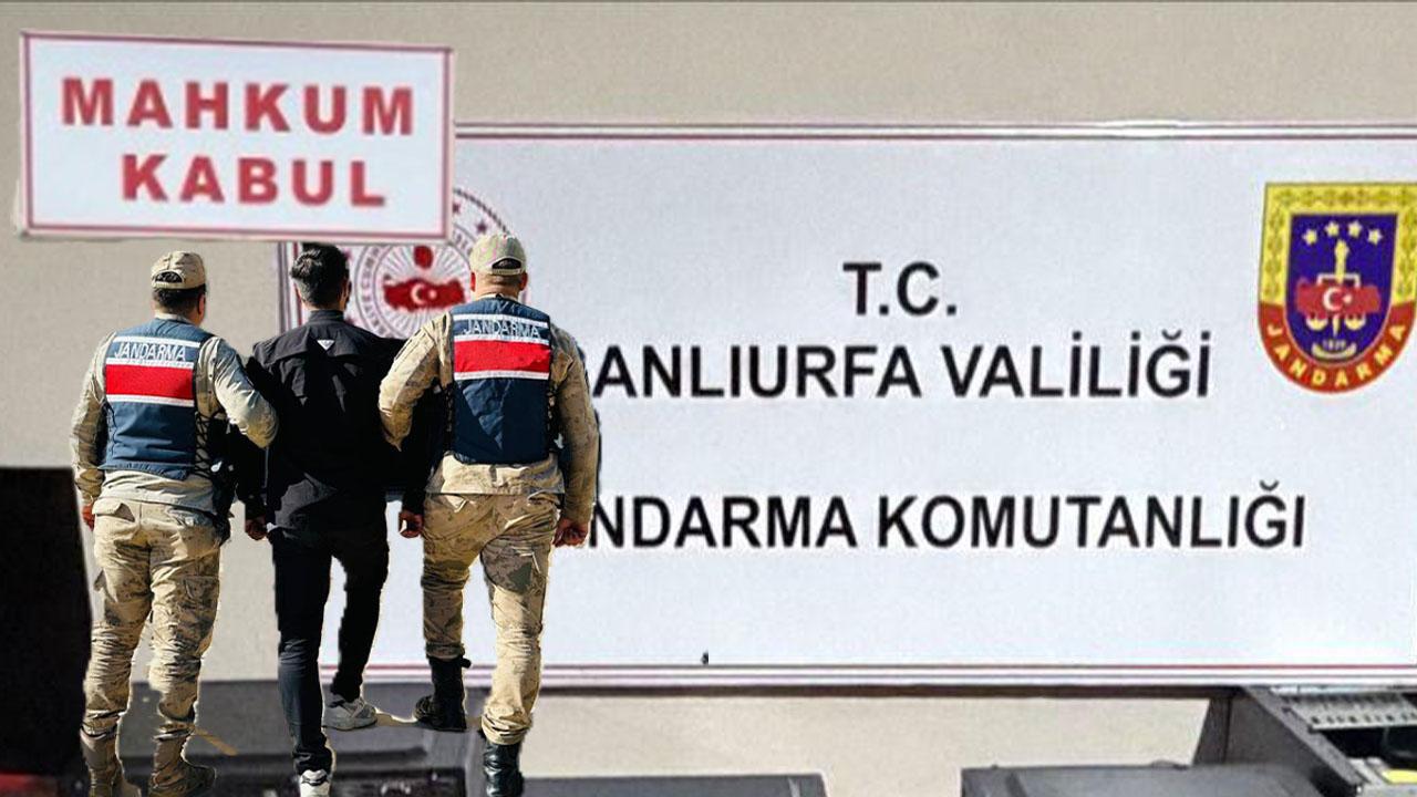 Şanlıurfa’da firari hükümlü kıskıvrak yakalandı