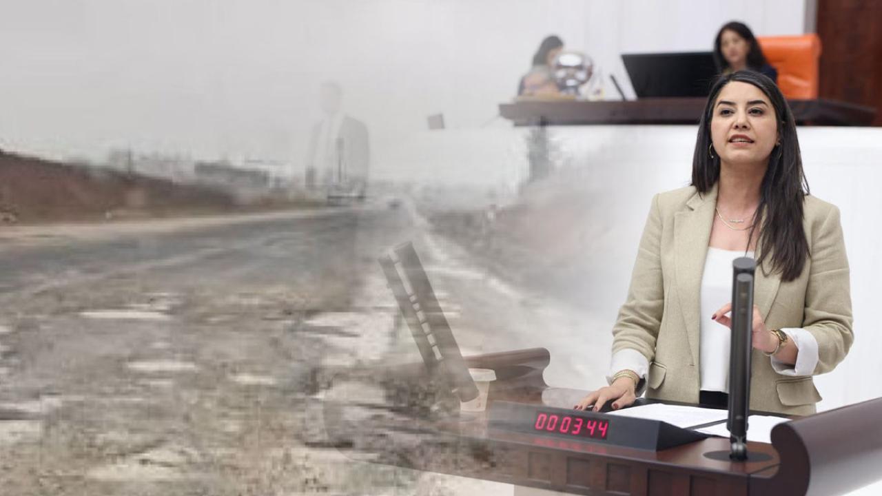 Dilan Kunt Ayan’dan Ceylanpınar-Kızıltepe yolu için soru öne