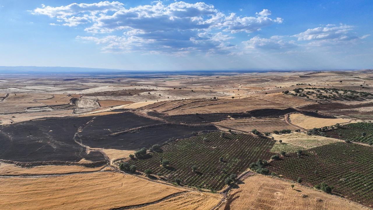 Diyarbakır'da çıkan anız yangını söndürüldü