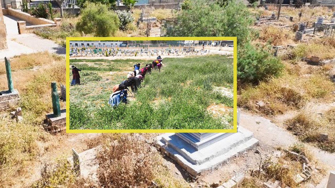 Harran’da mezarlıklarda titiz çalışma