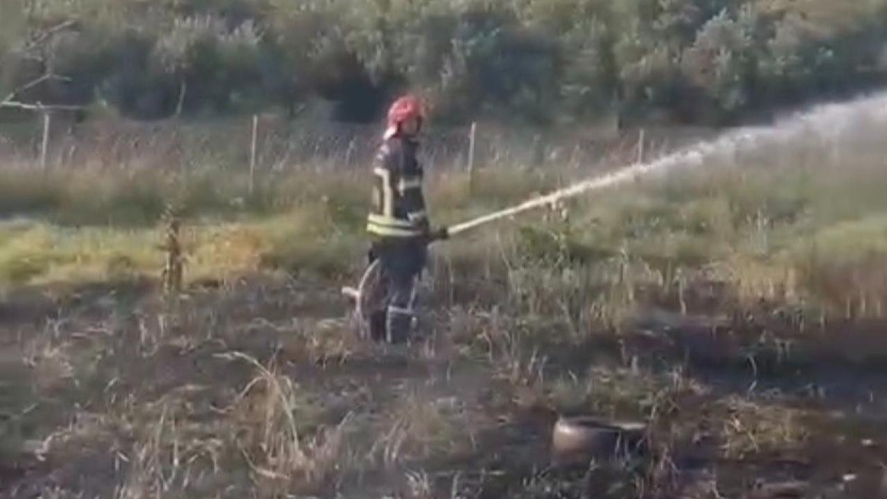 Osmaniye’de tanker yangını zeytinliğe sıçradı