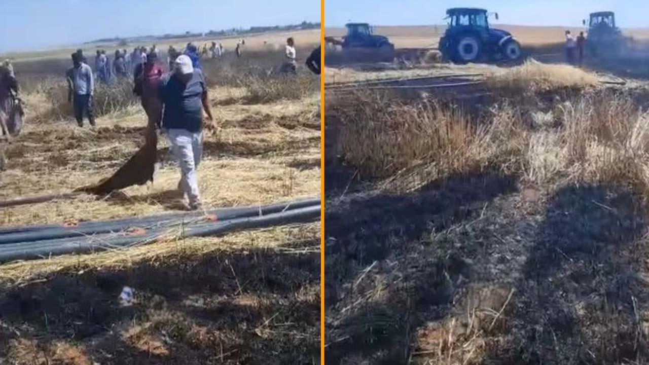 Şanlıurfa Harran’da buğday tarlası alev alev yandı!