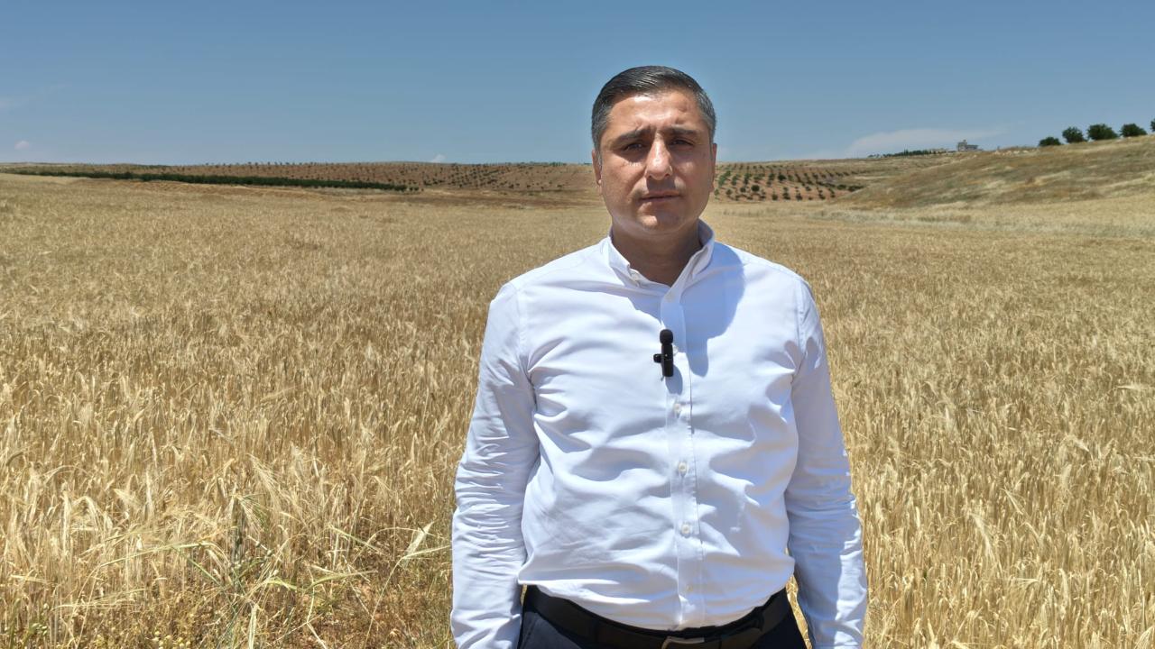 Otomatik Taslak