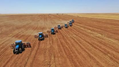 Şanlıurfa TİGEM’de 238 biçerdöverle hasat, 45 mibzerle ekim yapılıyor