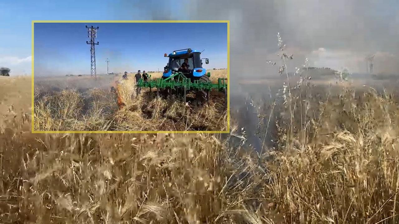 Şanlıurfa'da arpa tarlası alevlere teslim oldu