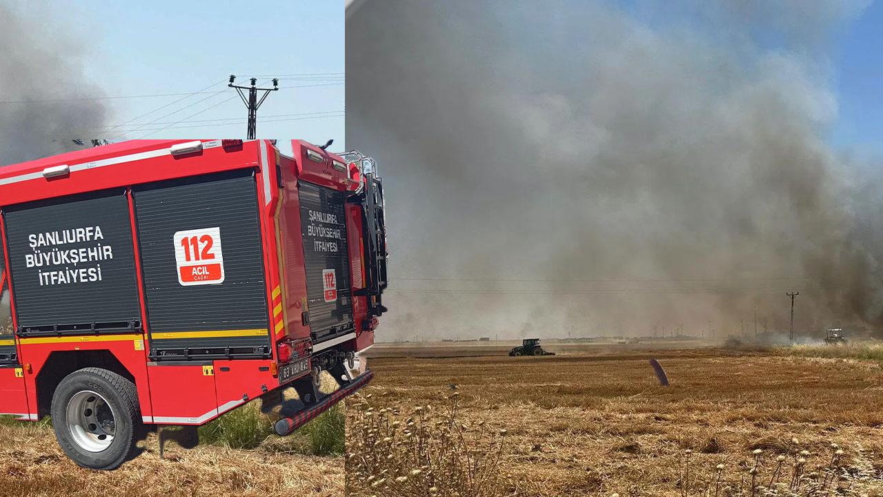 Şanlıurfa’da buğday tarlası alevlere teslim oldu