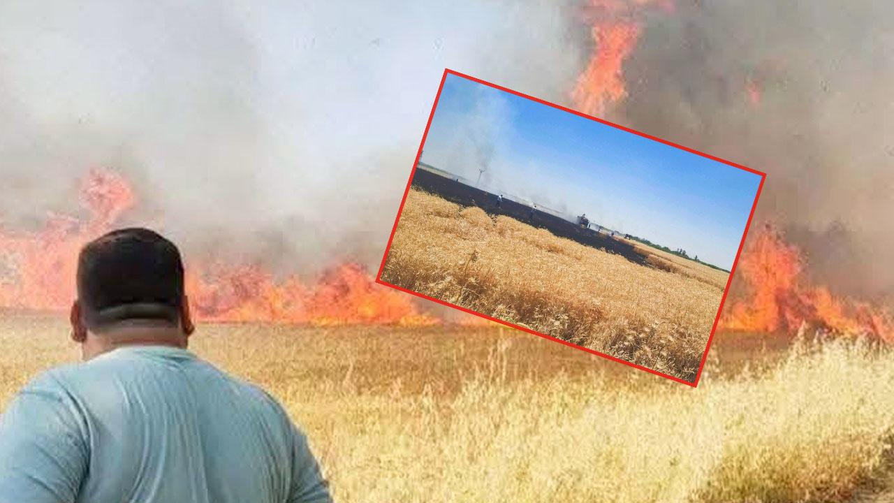 Şanlıurfa'da çiftçinin alın teri dakikalar içinde kül oldu