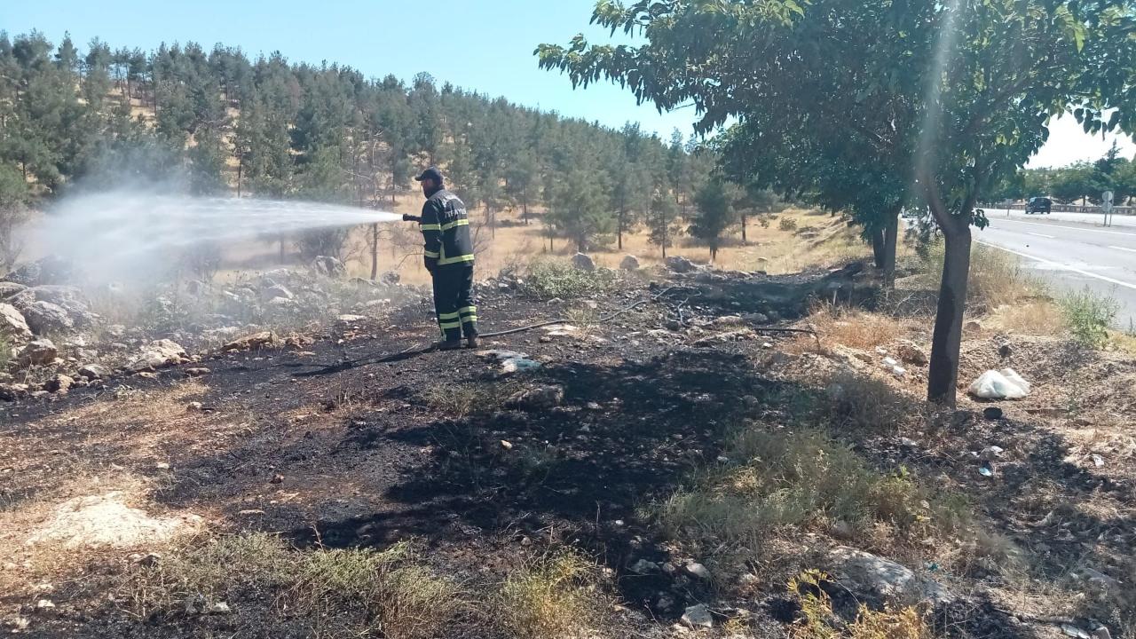 Şanlıurfa’da korkutan orman yangını!