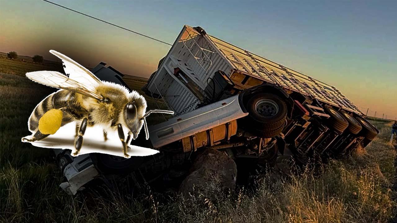 Şanlıurfa’daki tır kazanın nedeni şaşırttı!