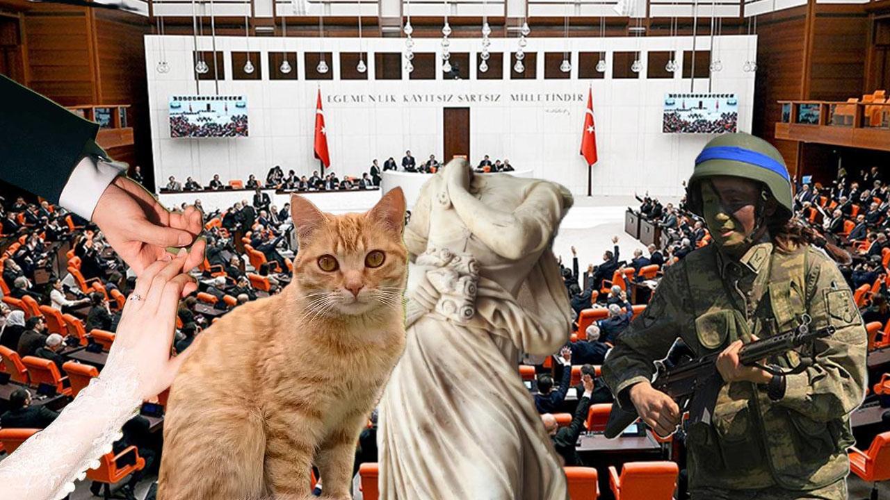 TBMM’ye gelen dilekçeler gündem oldu: Şaşırtan talepler !