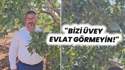 Faruk Akbaş’tan Cumhurbaşkanı’na çağrı! İthalatı durdurun