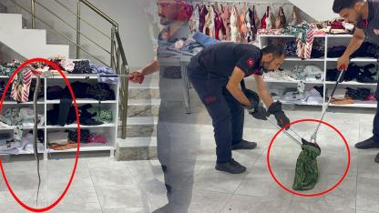 Şanlıurfa'da yılan kabusu sürüyor! Bu kez adres giyim mağazası oldu