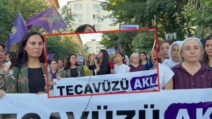 Şanlıurfalı vekil Urfa'da hiçbir kadın yalnız değildir