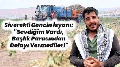 Şanlıurfalı mevsimlik işçilerin başlık parası çilesi!