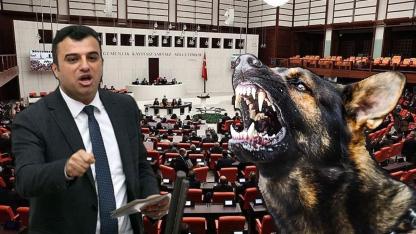 Şanlıurfalı vekil köpek saldırıları için harekete geçti