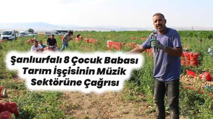 Urfalı işçi yanık sesiyle soğan tarlasında şarkıcı olma hayali kuruyor