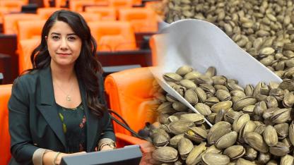 Vekil Ayan, fıstık ithalatını Bakan Yumaklı'ya sordu