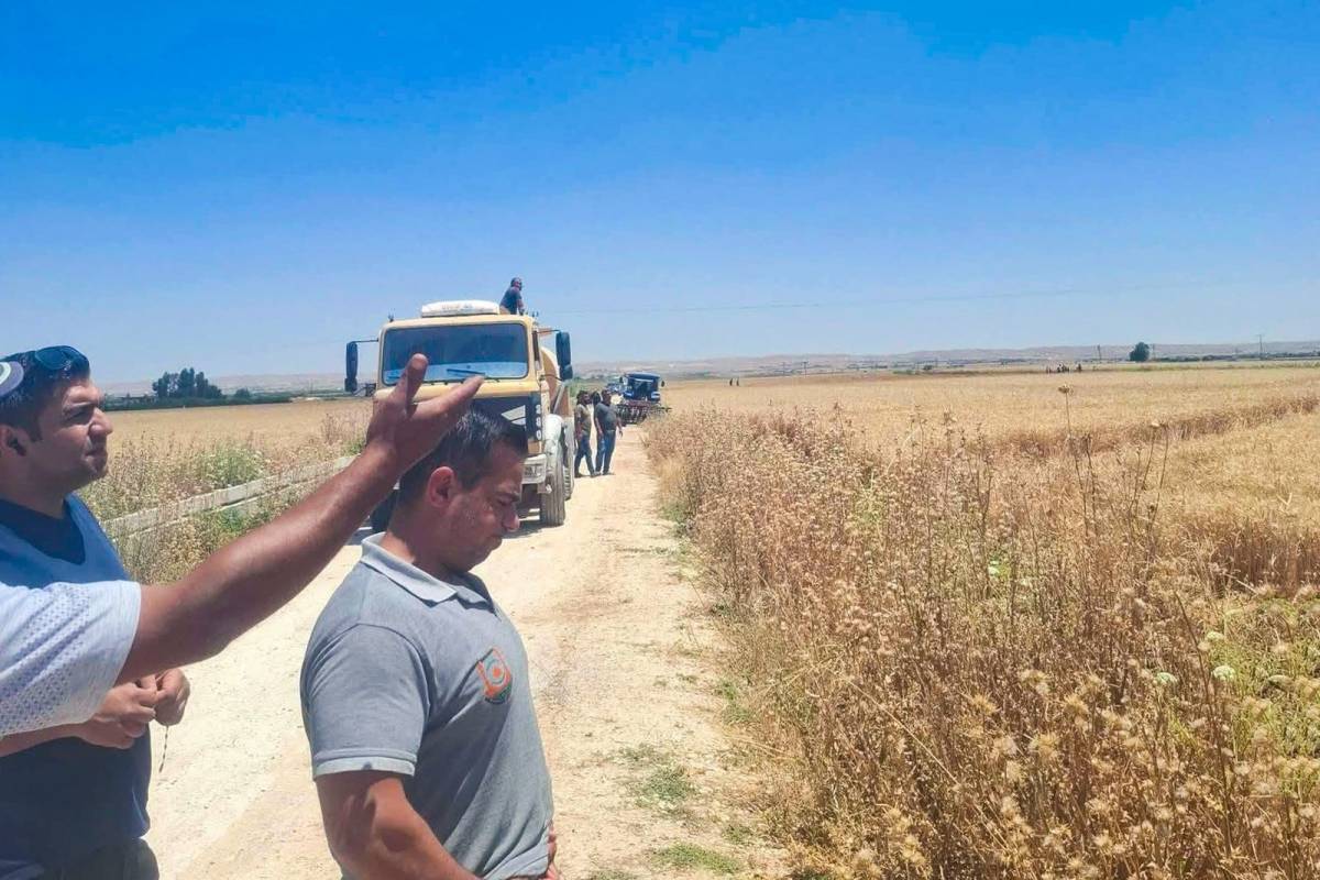Şanlıurfa'da çiftçinin alın teri dakikalar içinde kül oldu
