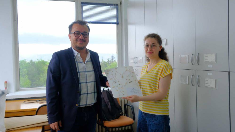 Bozova’da yeni endemik tür keşfi: “Allium aralii” literatüre girdi